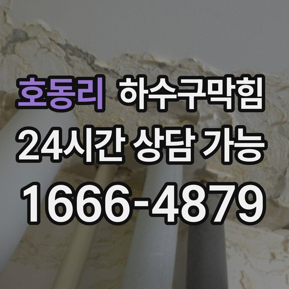 호동리 하수구막힘