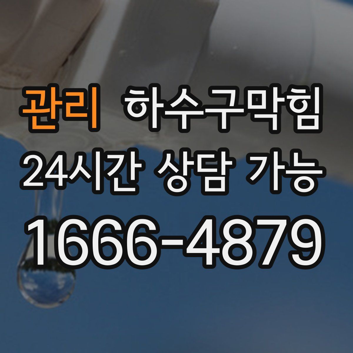 관리 하수구막힘