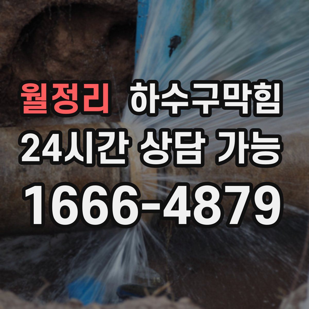 월정리 하수구막힘