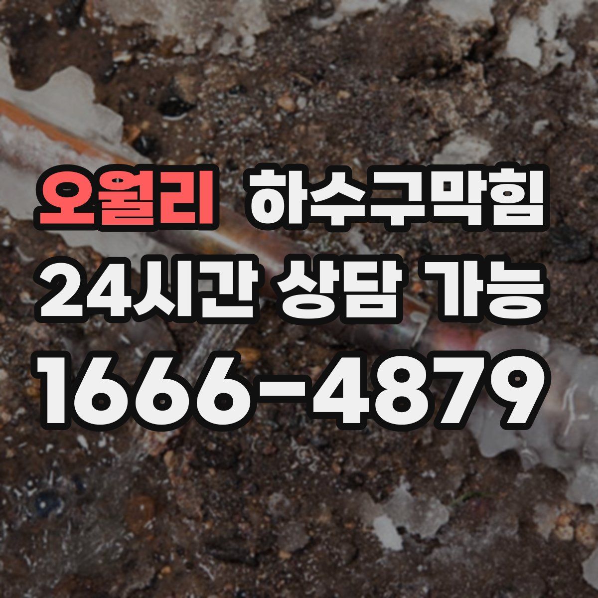 오월리 하수구막힘