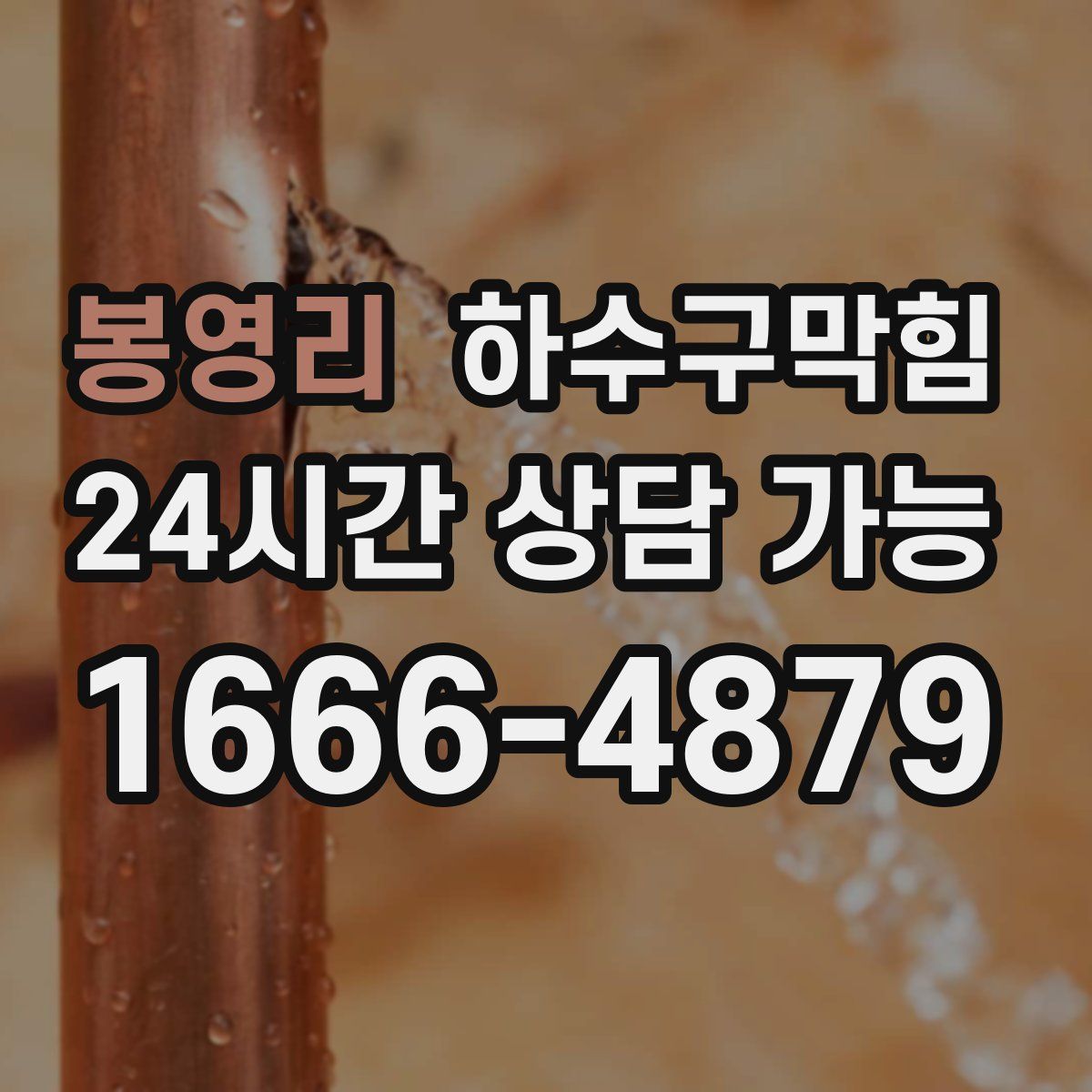 봉영리 하수구막힘