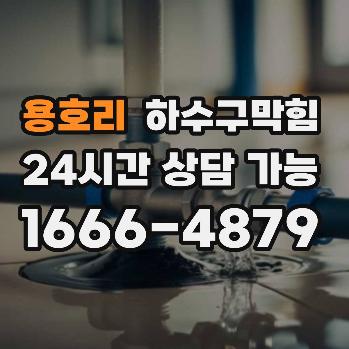 용호리 하수구막힘