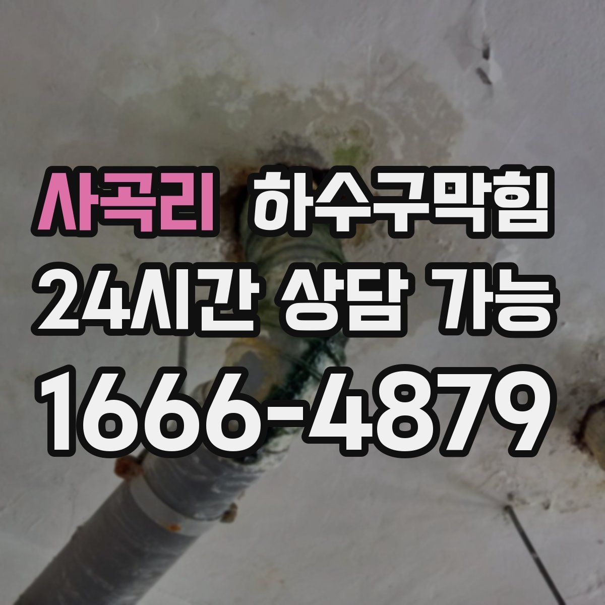 사곡리 하수구막힘