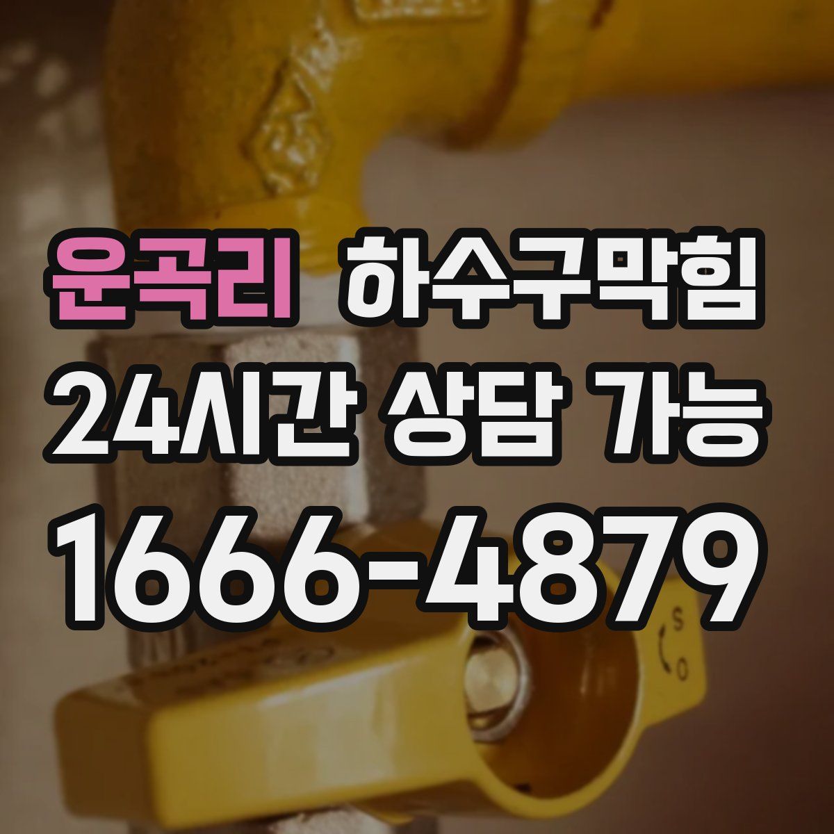 운곡리 하수구막힘