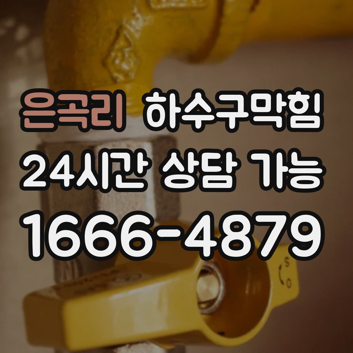 은곡리 하수구막힘