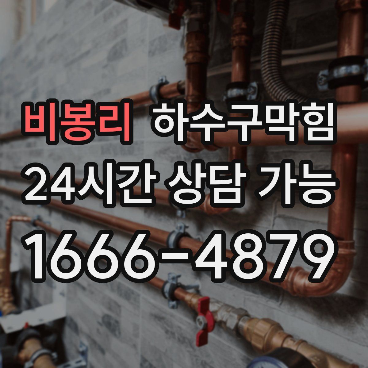 비봉리 하수구막힘