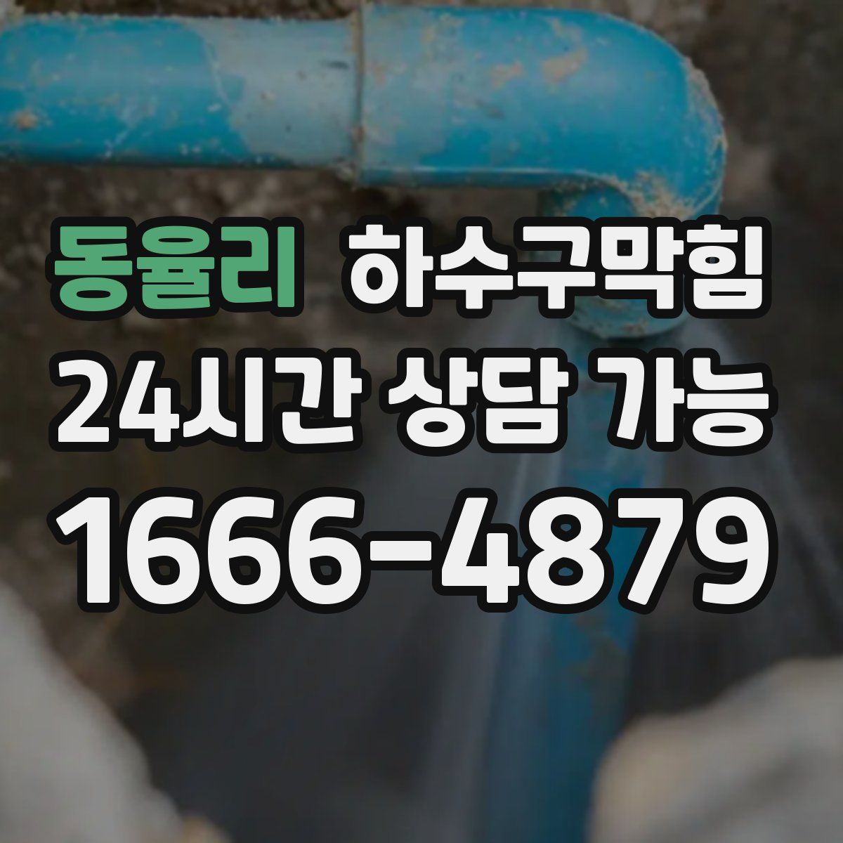 동율리 하수구막힘