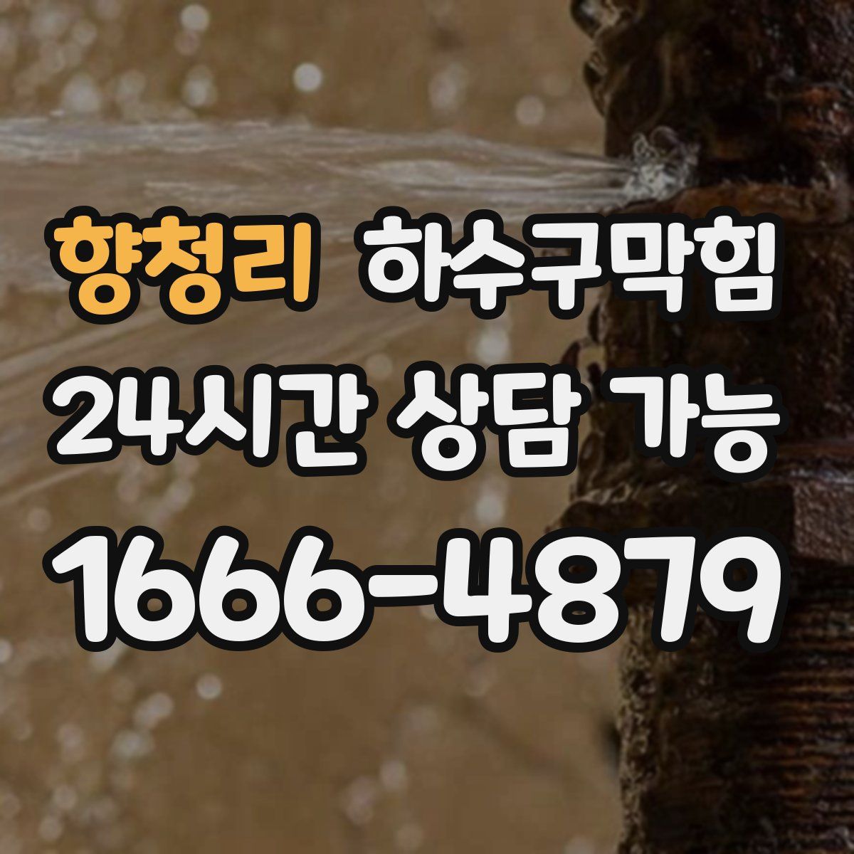 향청리 하수구막힘