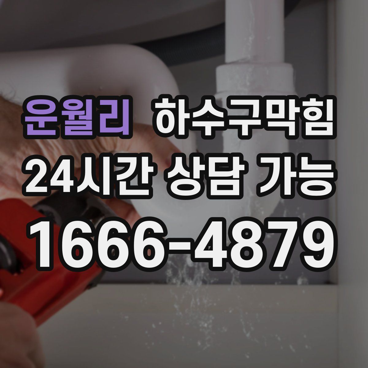 운월리 하수구막힘