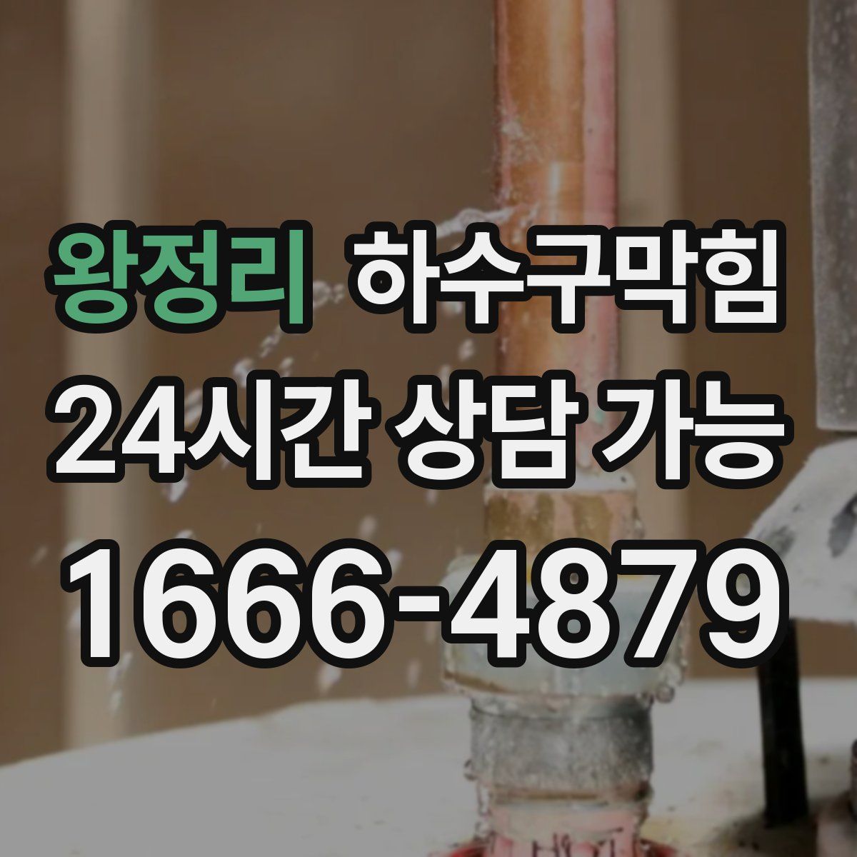 왕정리 하수구막힘