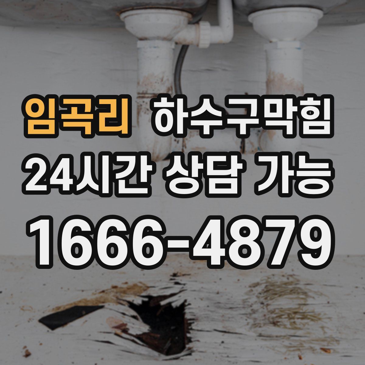 임곡리 하수구막힘