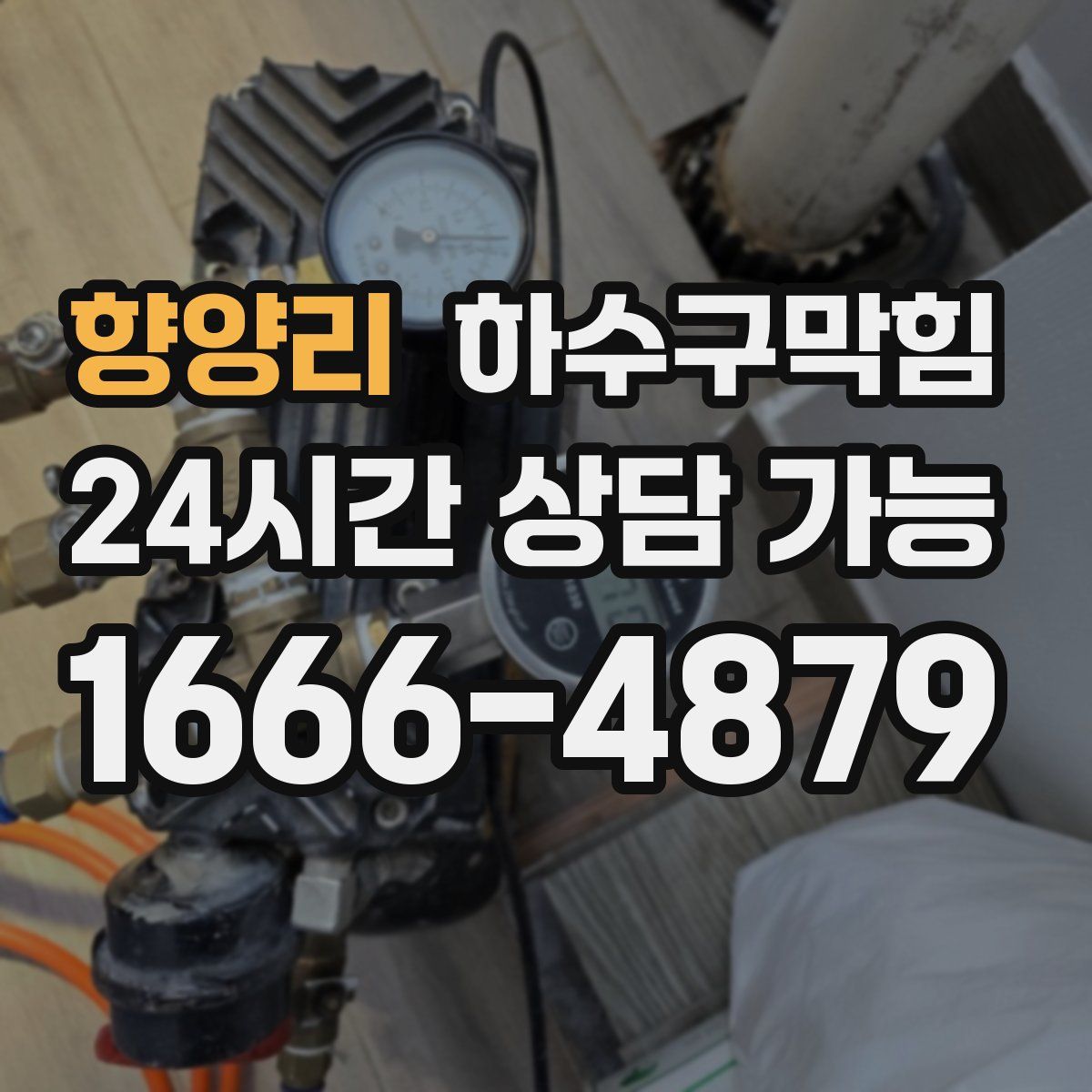 향양리 하수구막힘