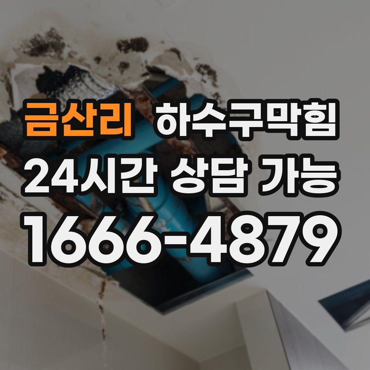 금산리 하수구막힘