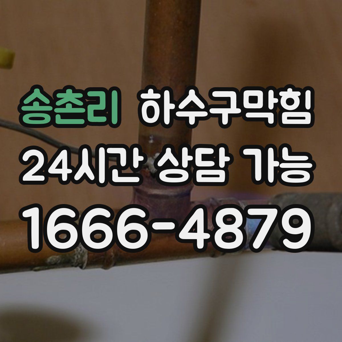 송촌리 하수구막힘