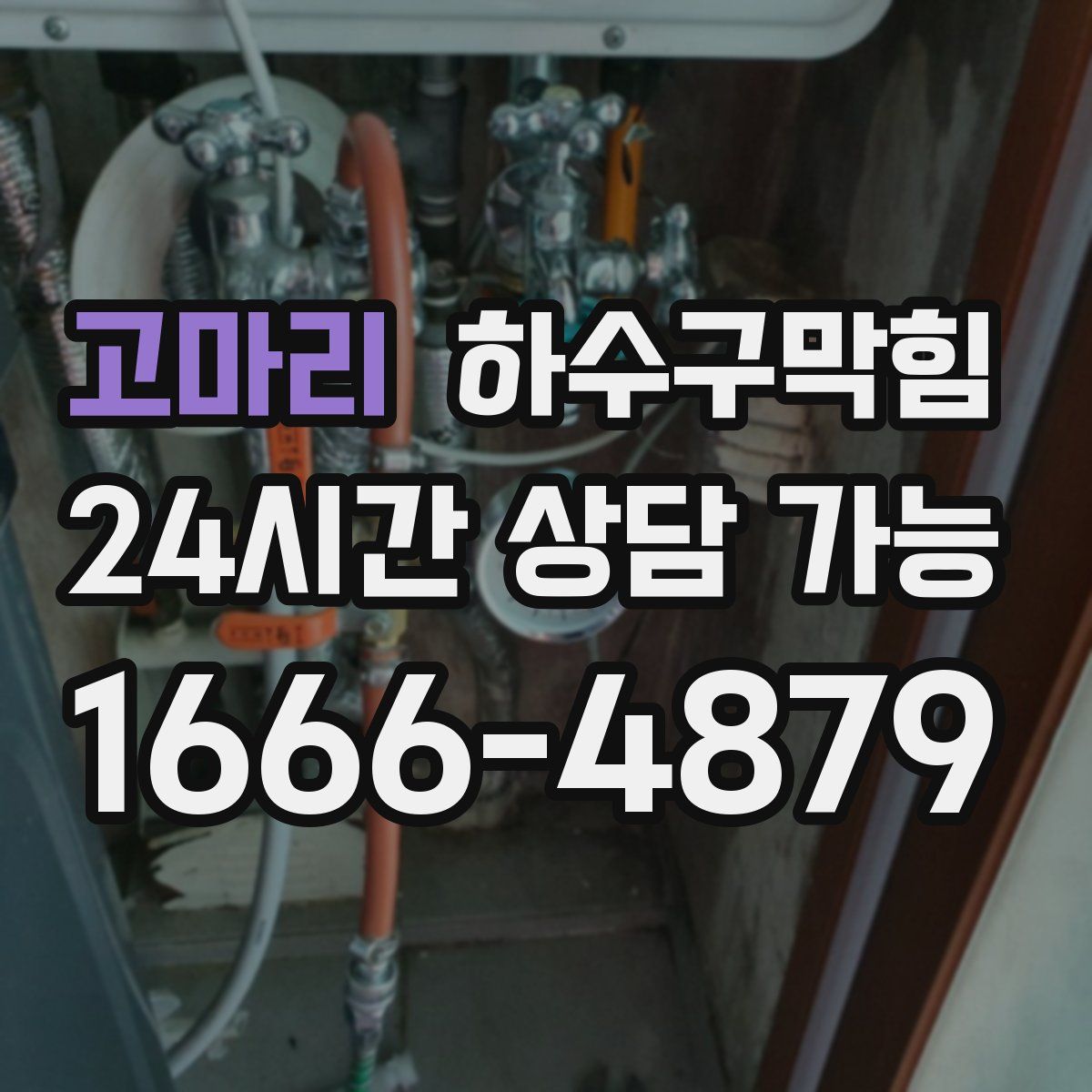 고마리 하수구막힘