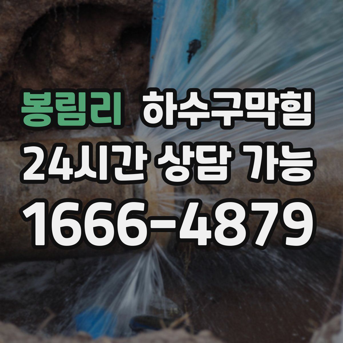 봉림리 하수구막힘