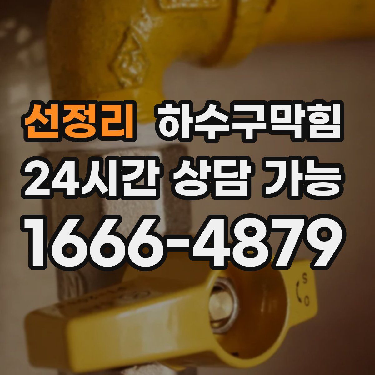 선정리 하수구막힘