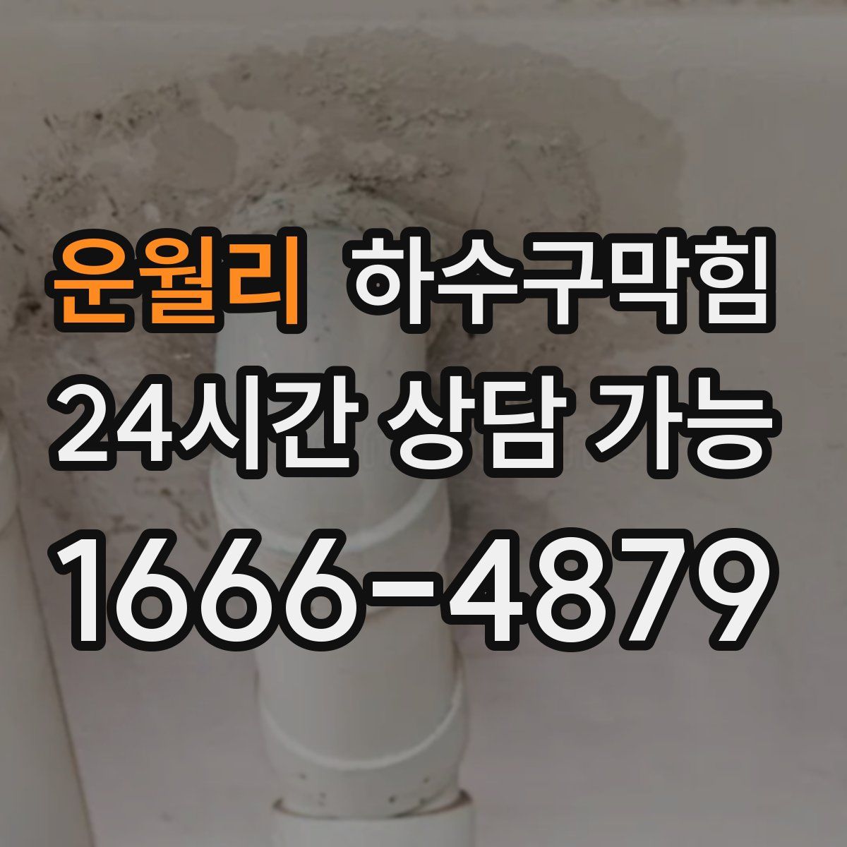 운월리 하수구막힘