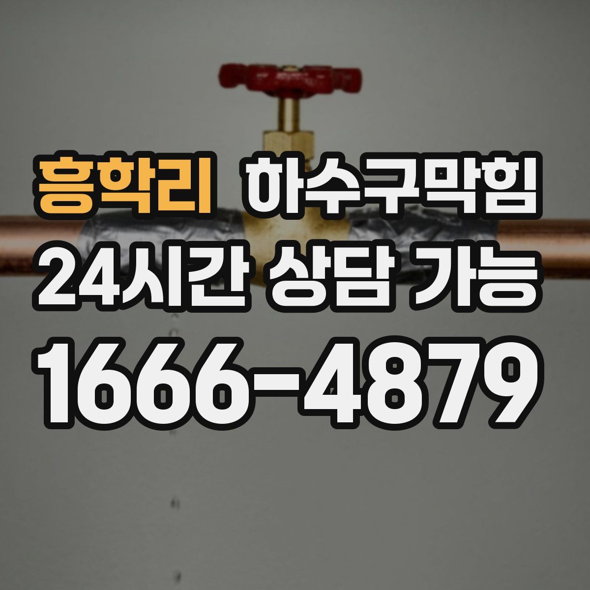 흥학리 하수구막힘