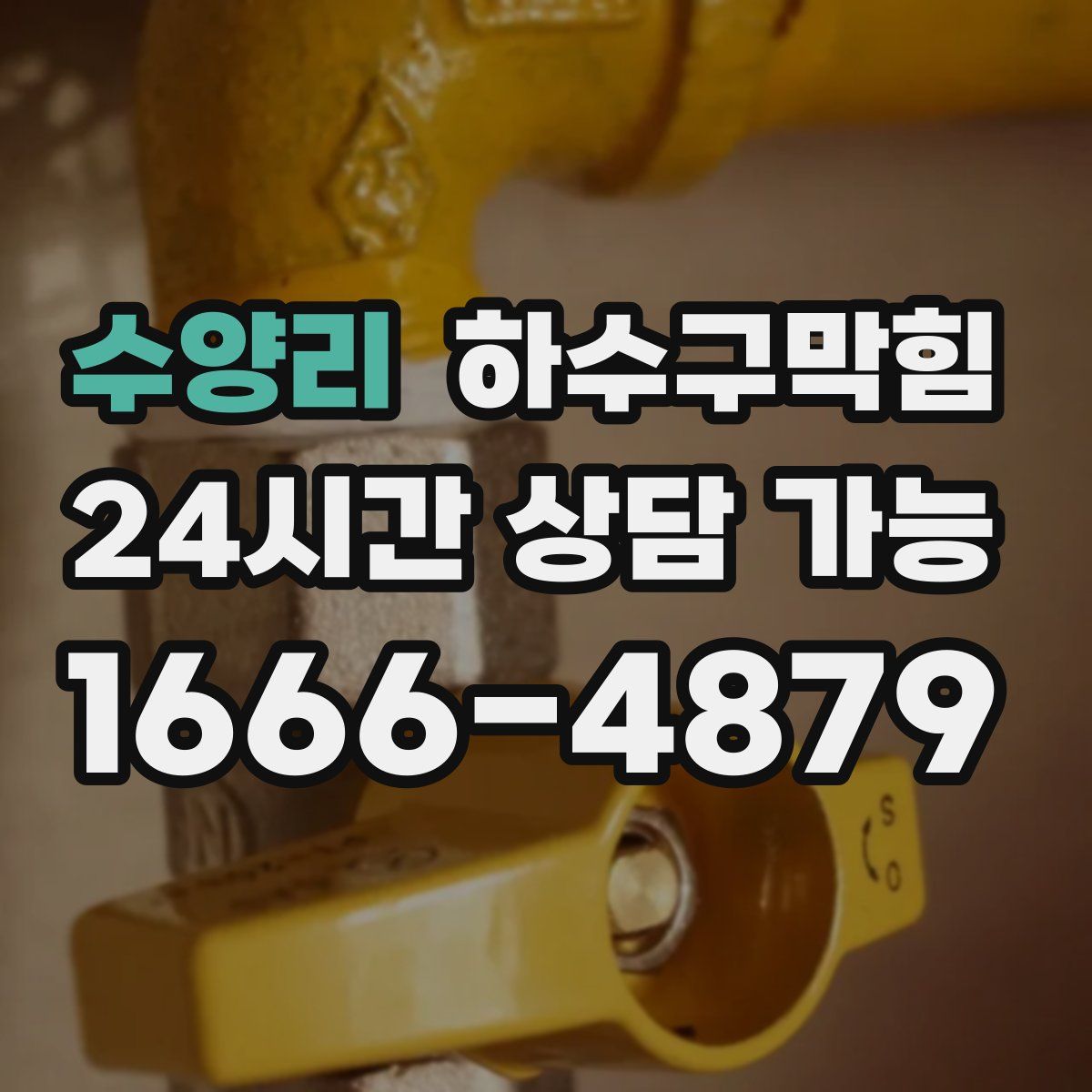 수양리 하수구막힘