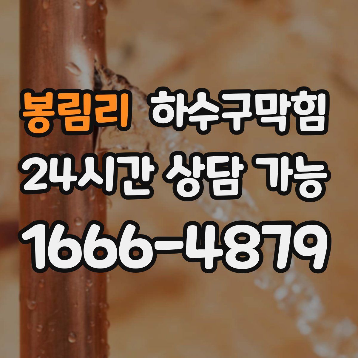 봉림리 하수구막힘