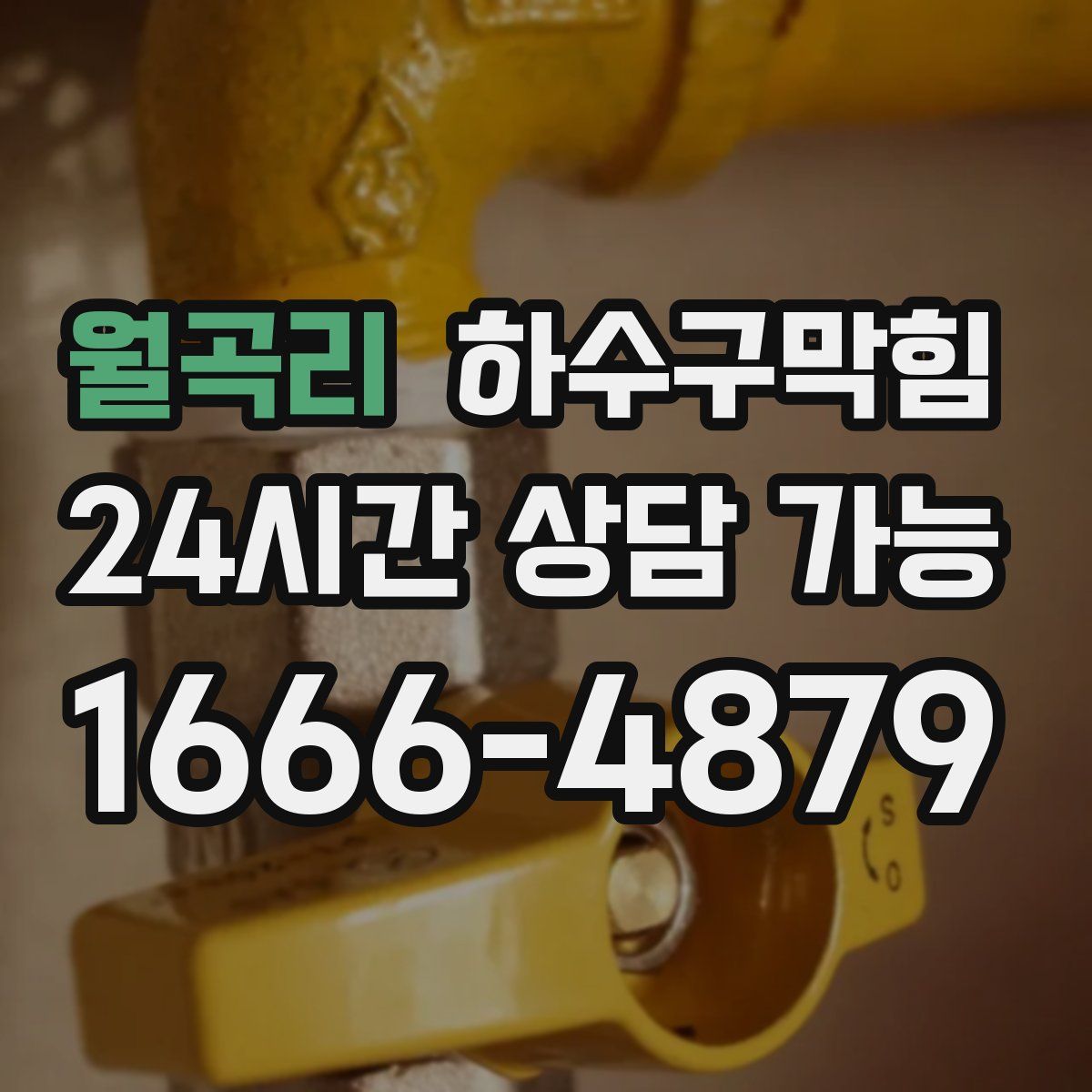 월곡리 하수구막힘