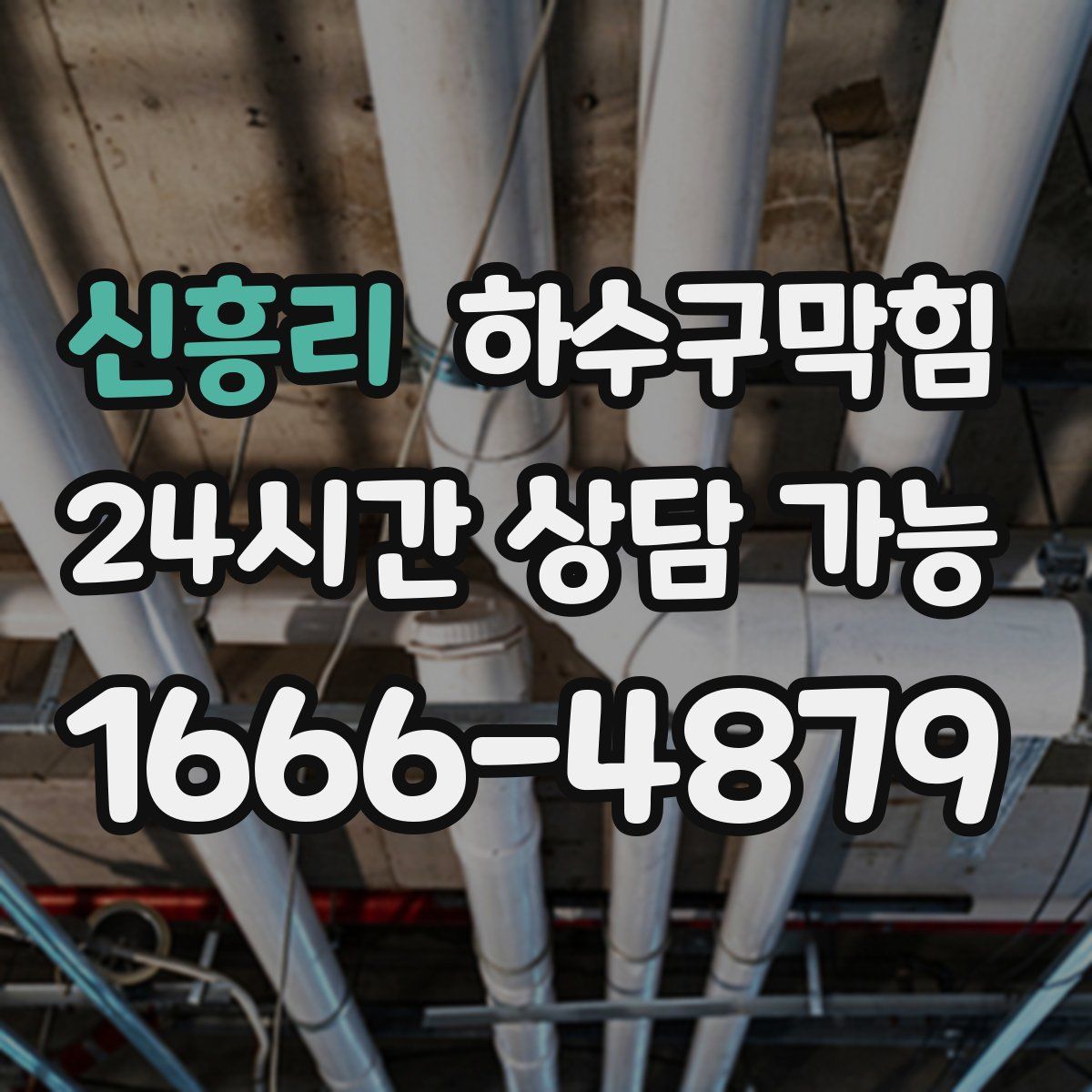 신흥리 하수구막힘