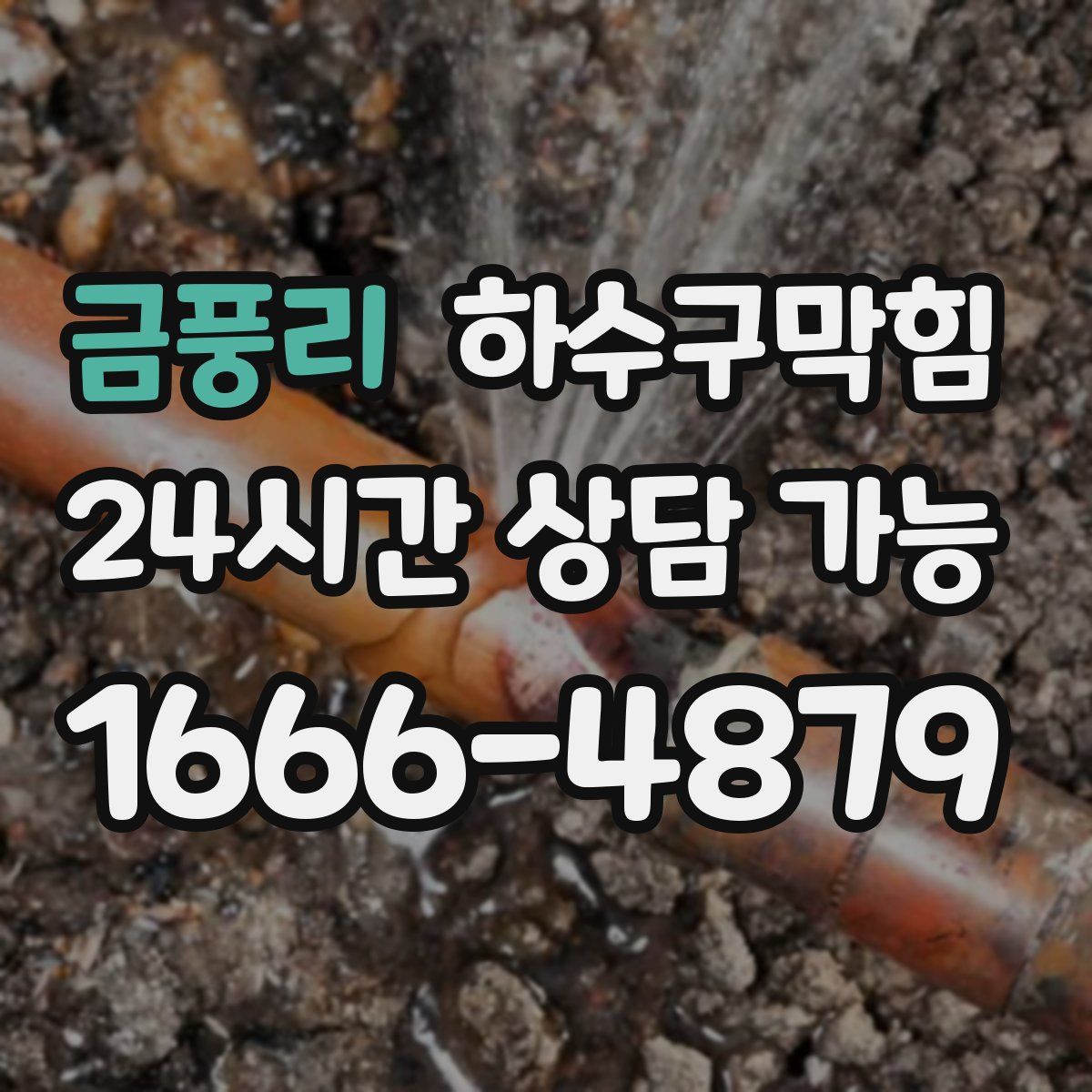 금풍리 하수구막힘