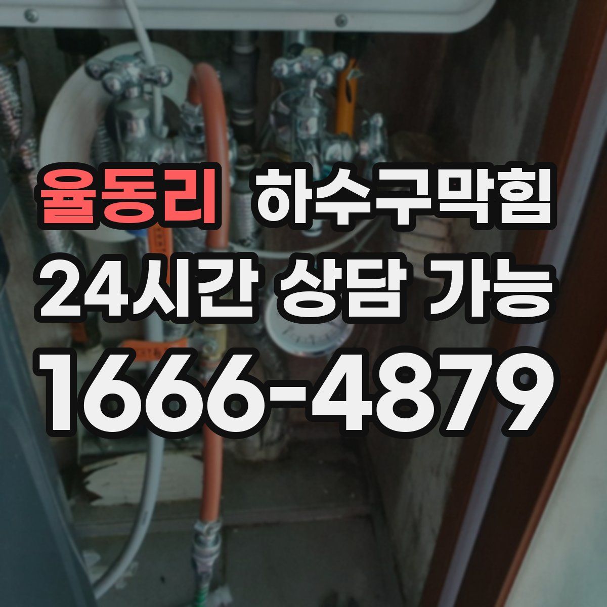 율동리 하수구막힘