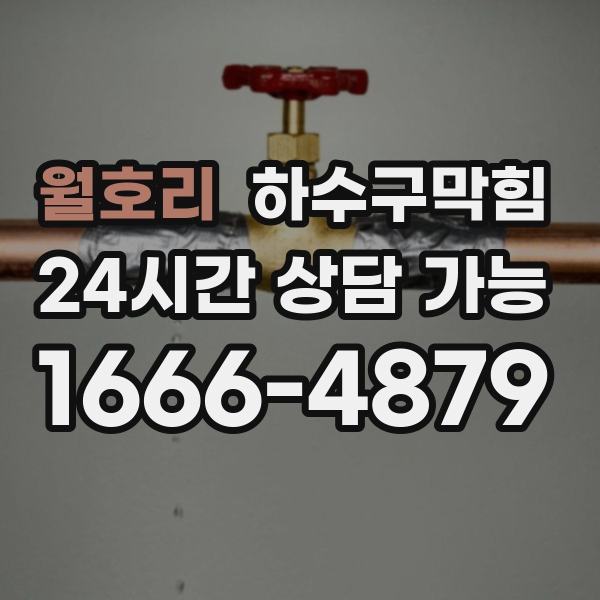 월호리 하수구막힘