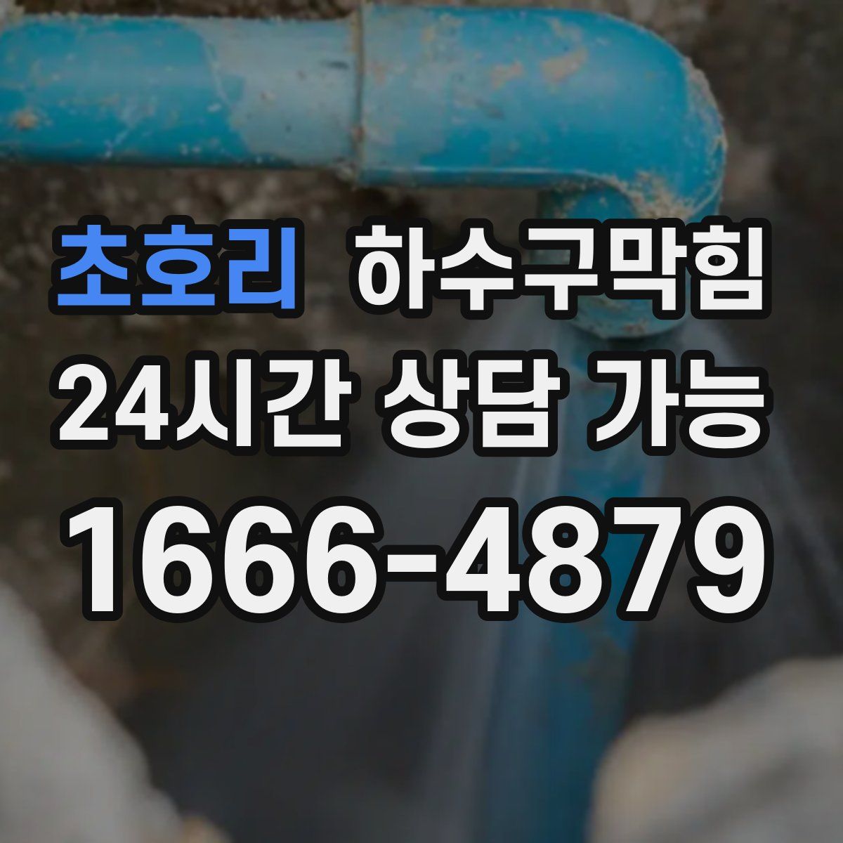 초호리 하수구막힘