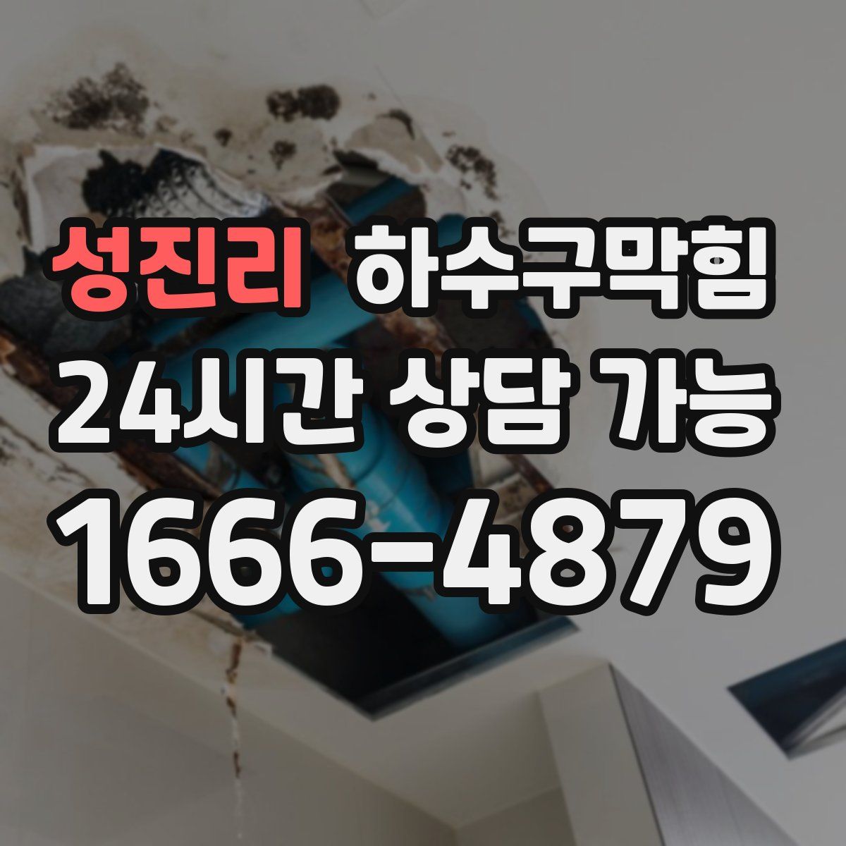 성진리 하수구막힘