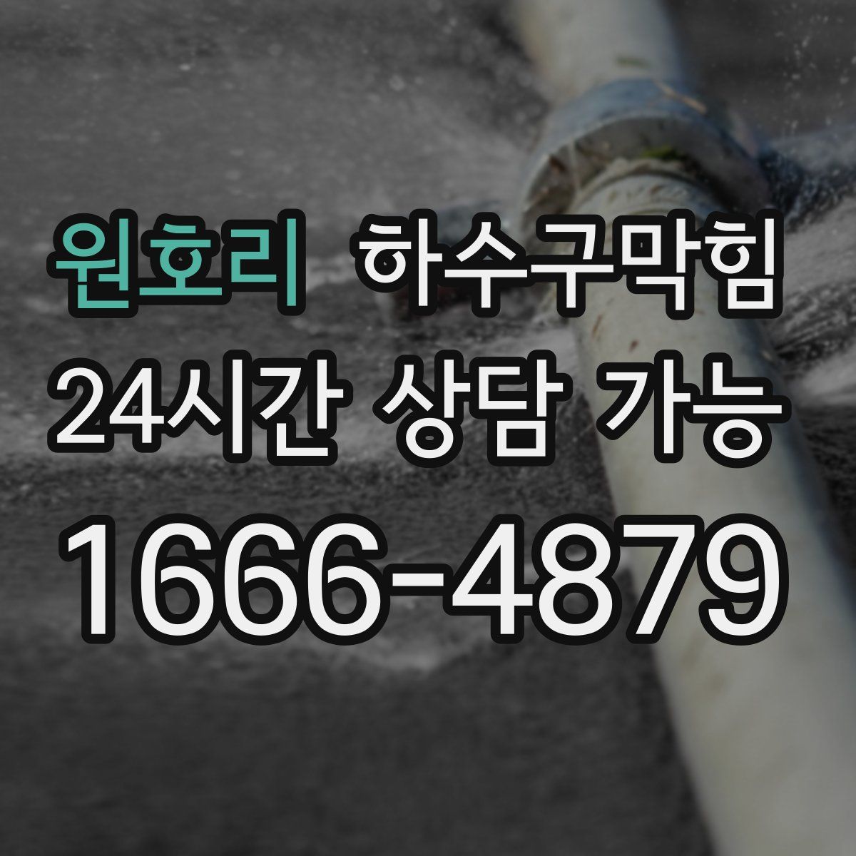 원호리 하수구막힘