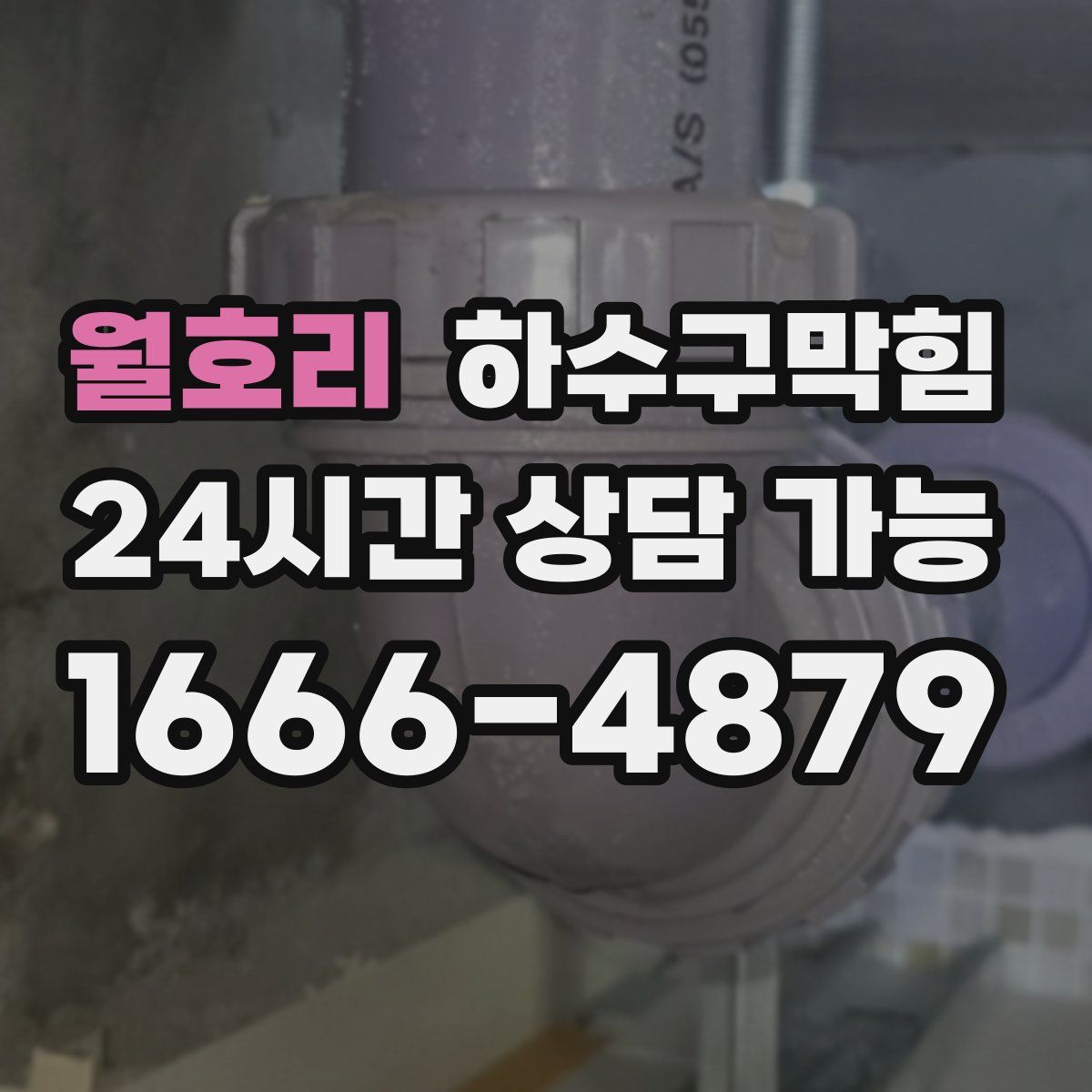 월호리 하수구막힘