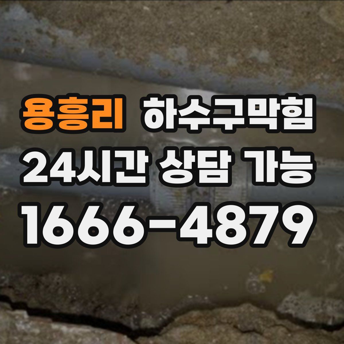 용흥리 하수구막힘