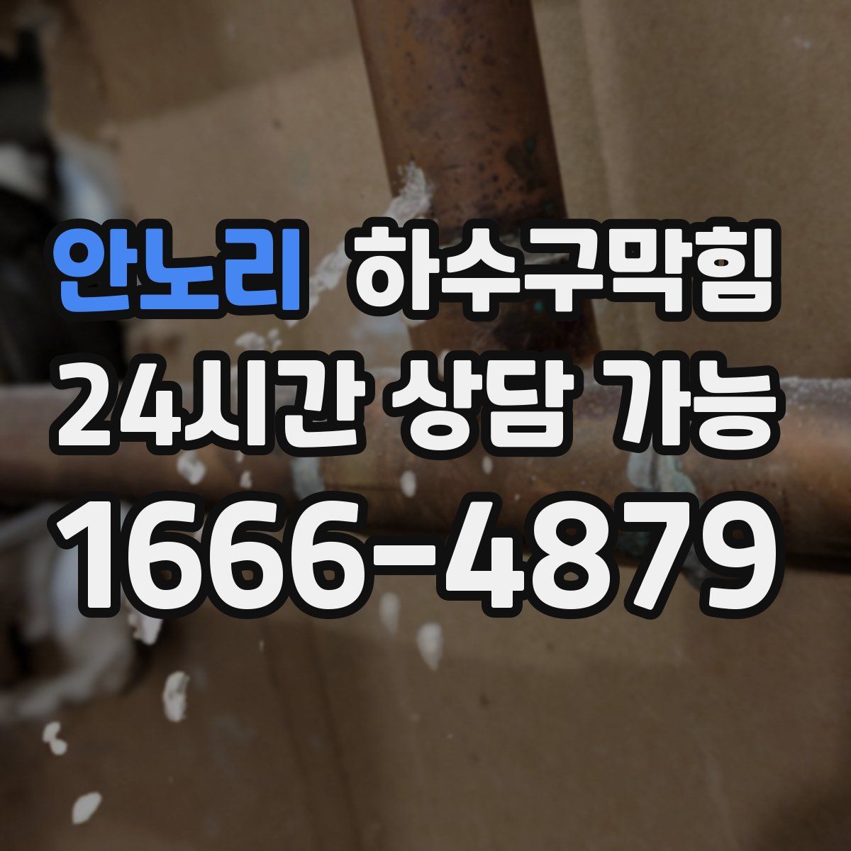 안노리 하수구막힘