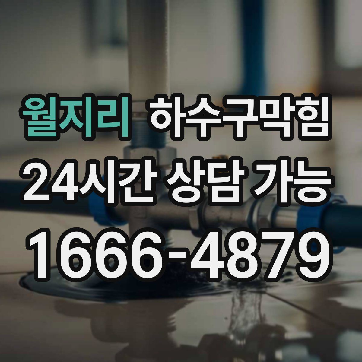 월지리 하수구막힘