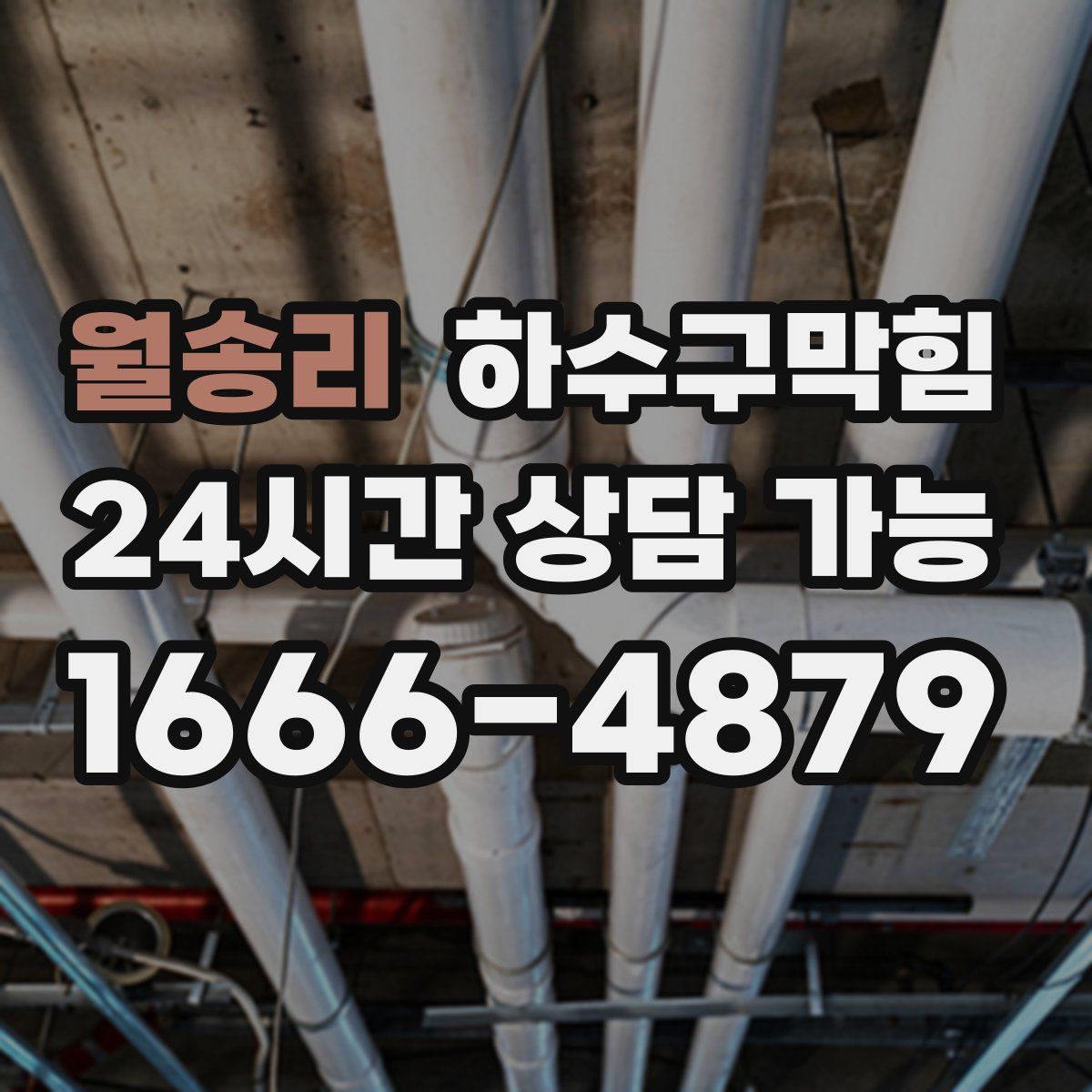 월송리 하수구막힘