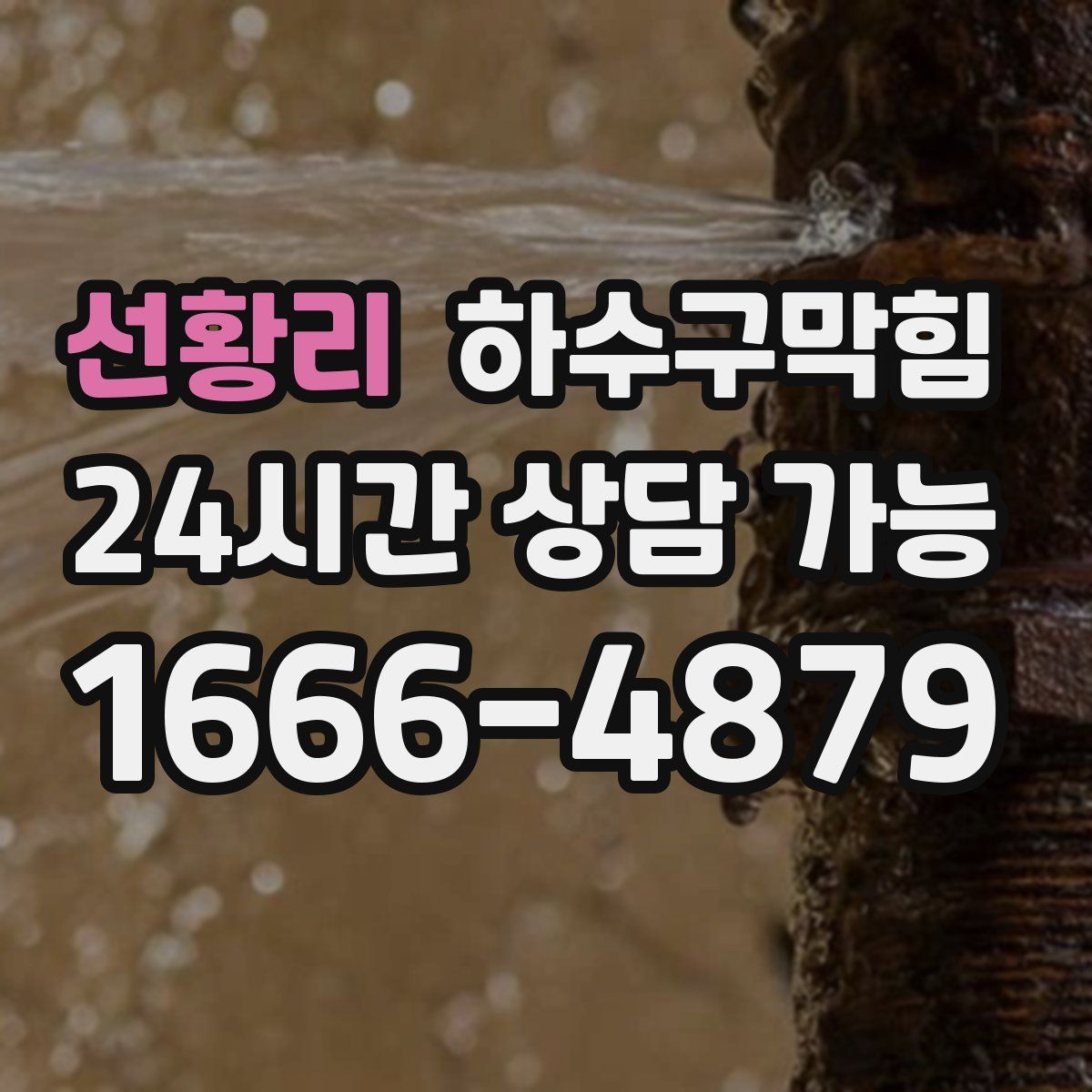 선황리 하수구막힘