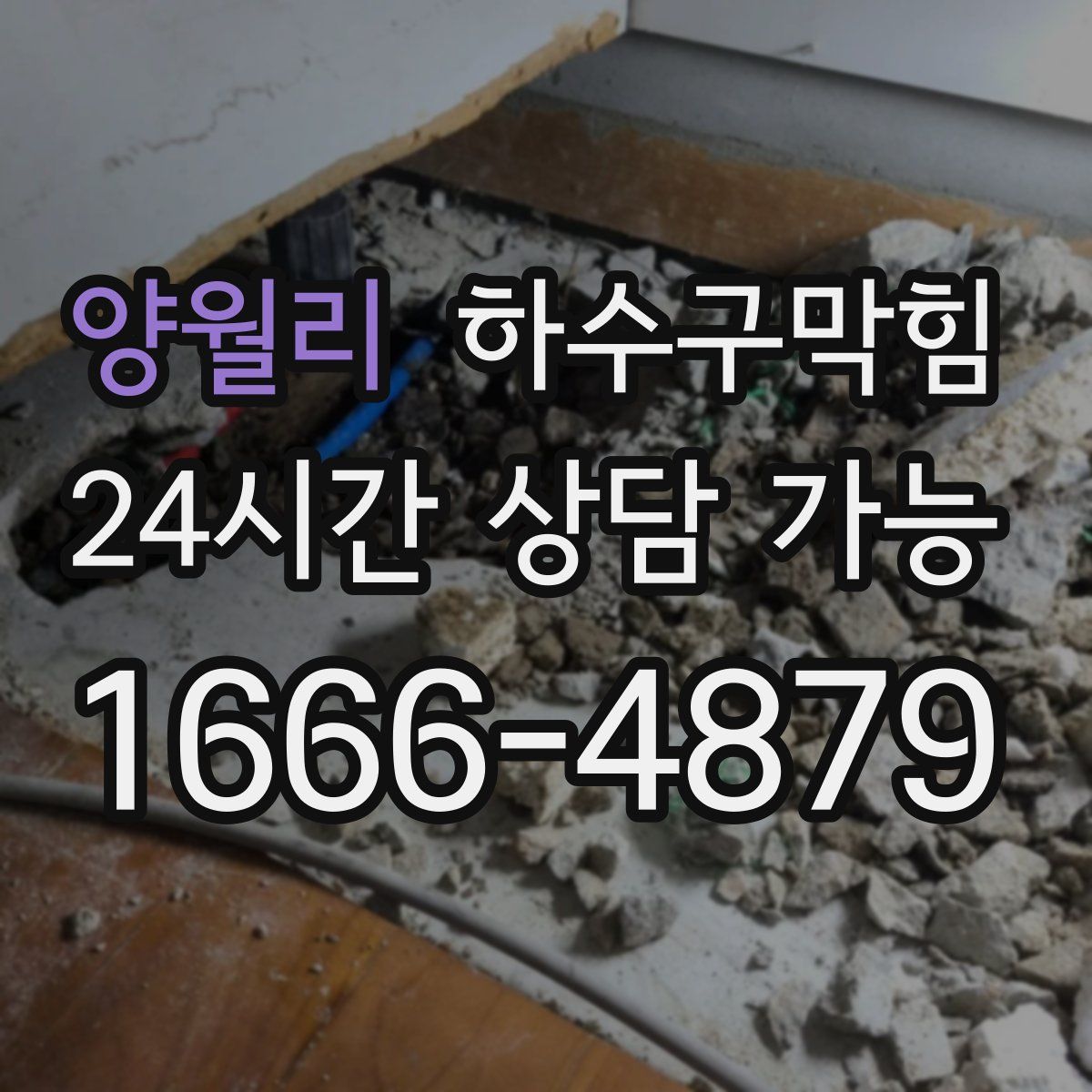 양월리 하수구막힘