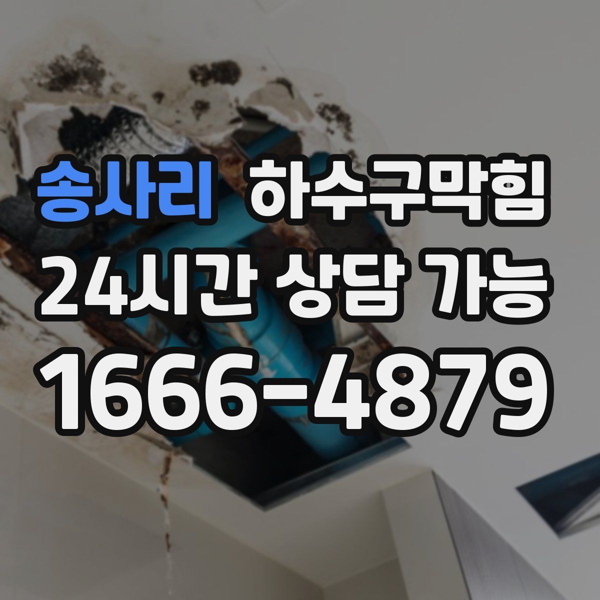 송사리 하수구막힘