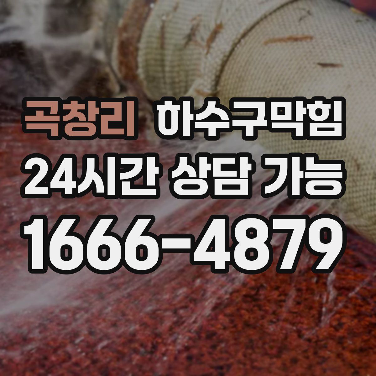 곡창리 하수구막힘