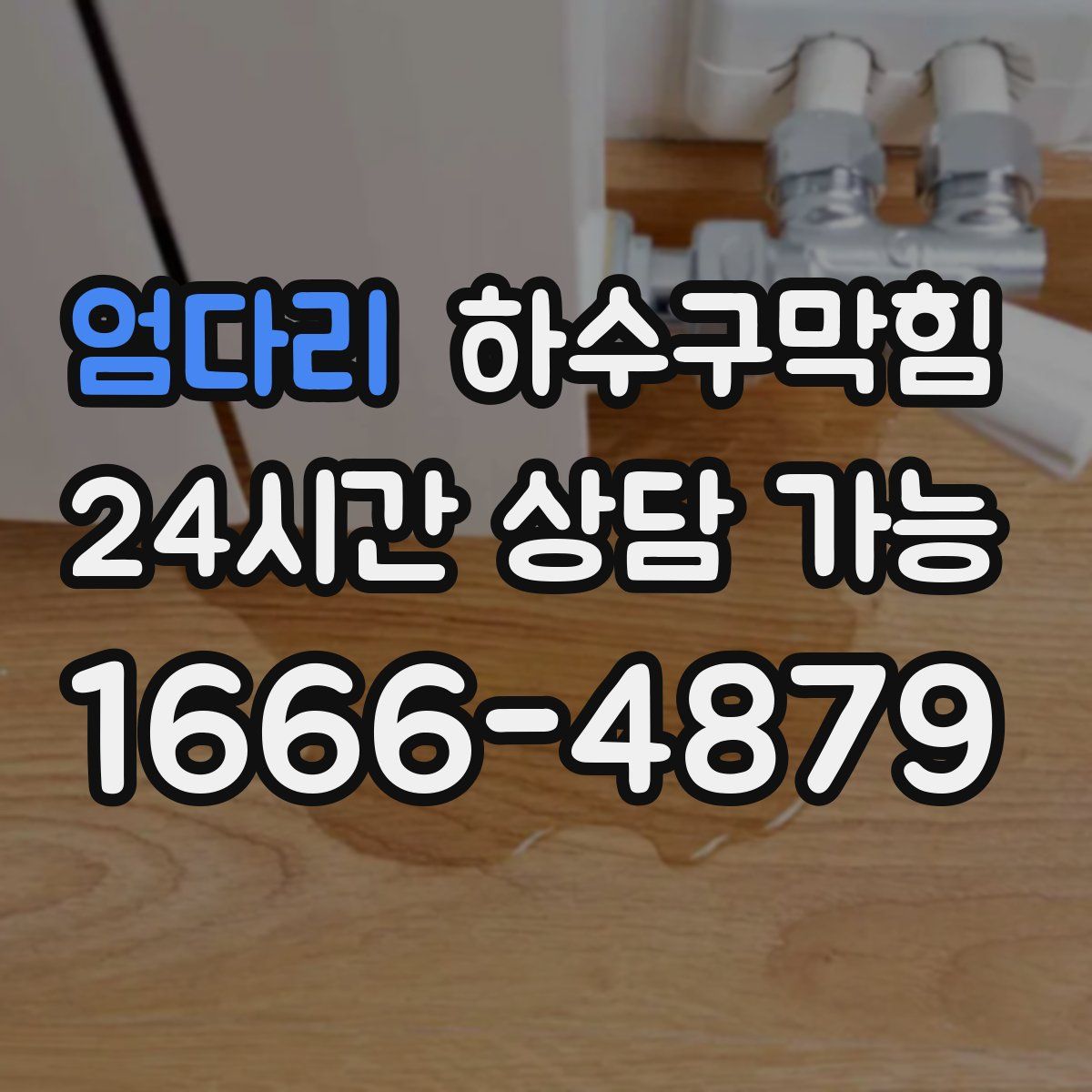 엄다리 하수구막힘