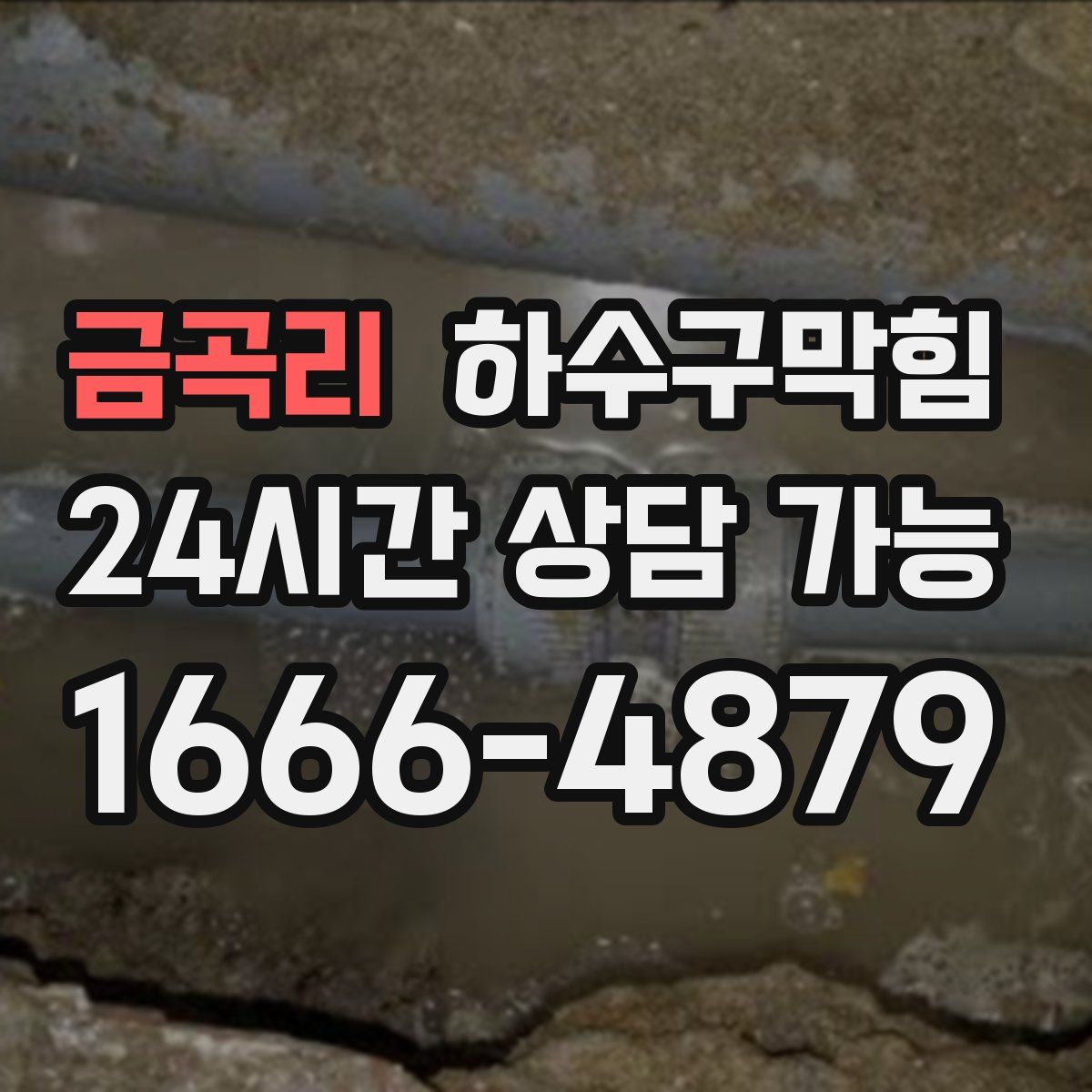 금곡리 하수구막힘