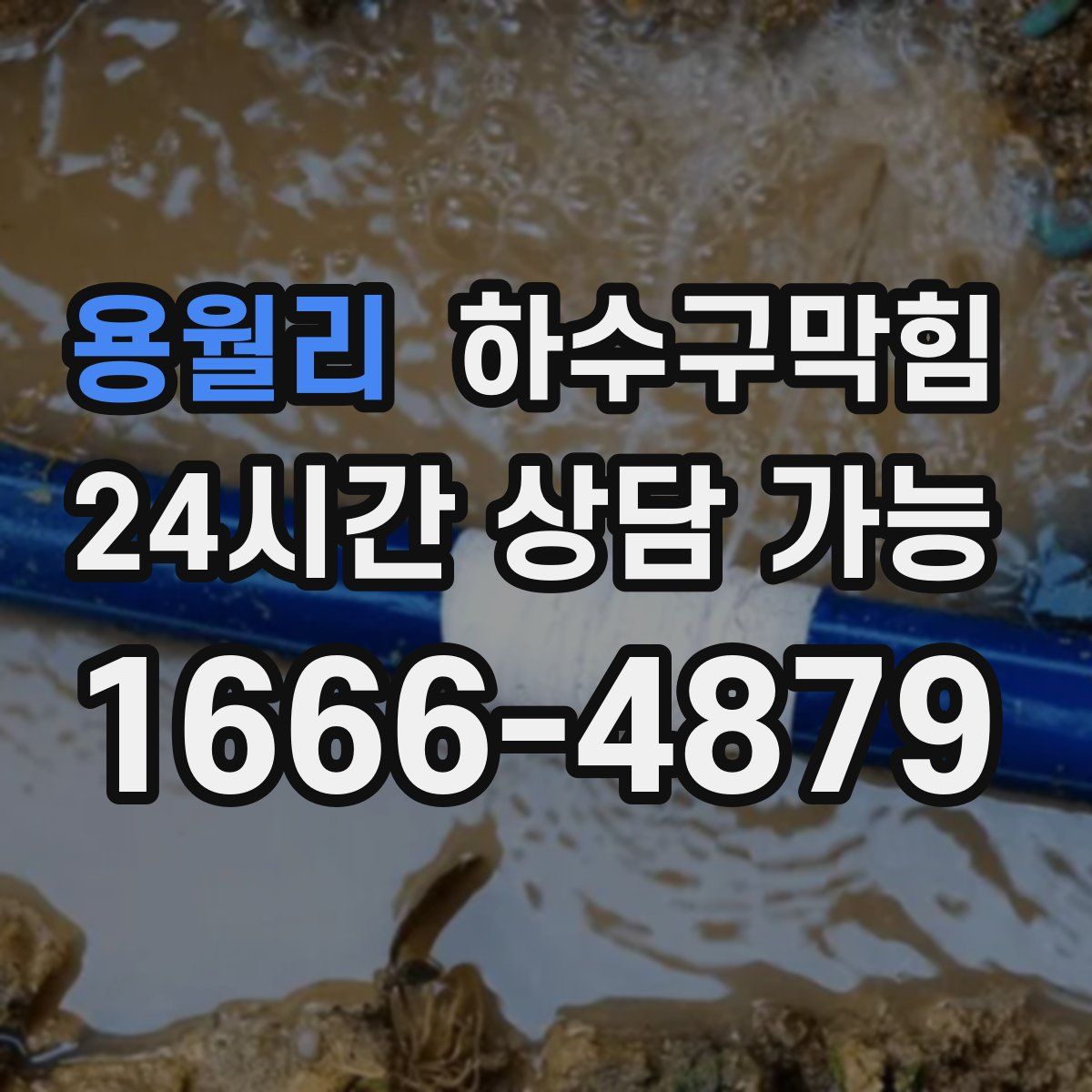 용월리 하수구막힘