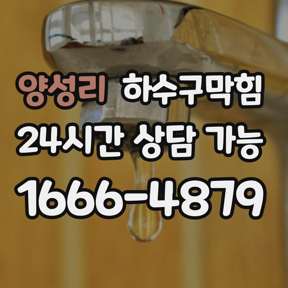 양성리 하수구막힘