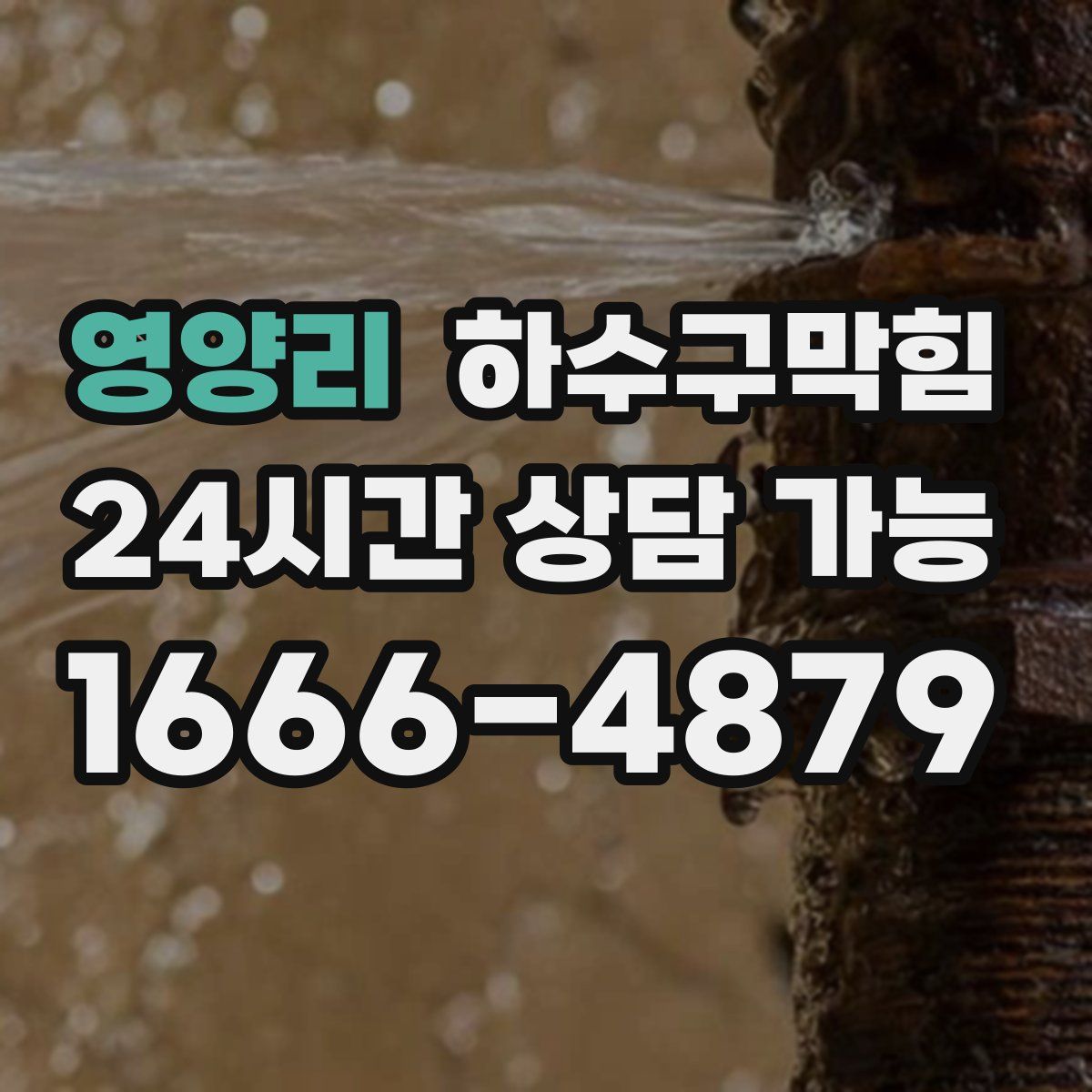 영양리 하수구막힘