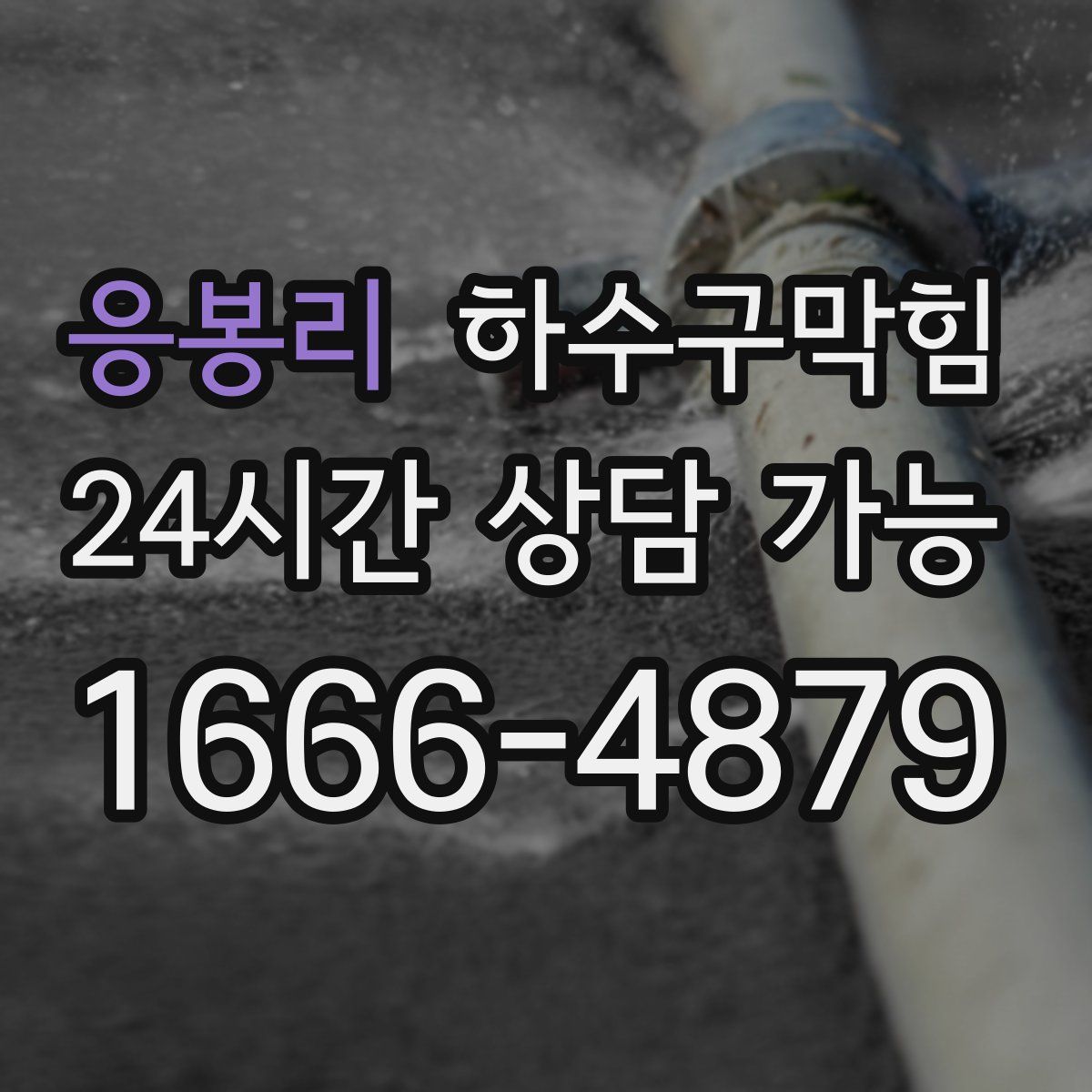 응봉리 하수구막힘