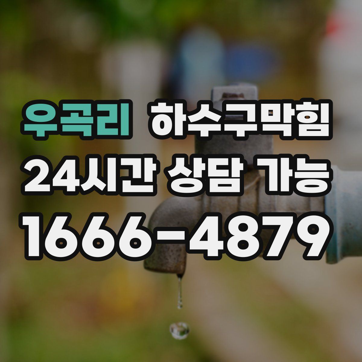 우곡리 하수구막힘