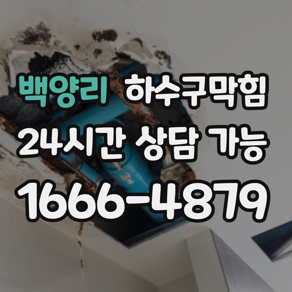 백양리 하수구막힘